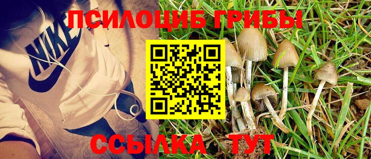 купить закладку  Вход с VPN  Лысьва  Галлюциногенные грибы мухоморы  Псилоцибиновые грибы Psilocybe 